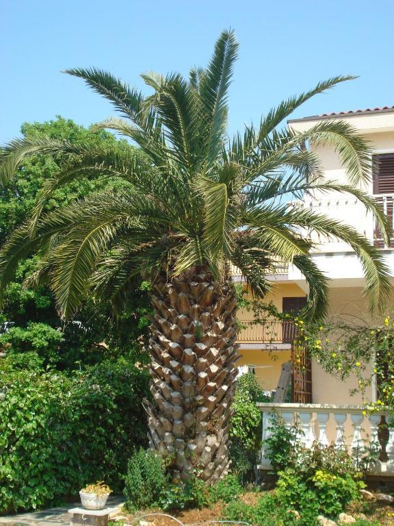 Apartments Labor Vodice Pokój zdjęcie